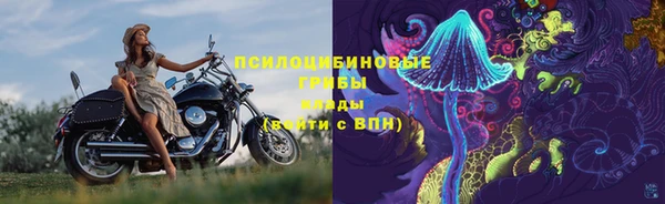 соль ск Новозыбков