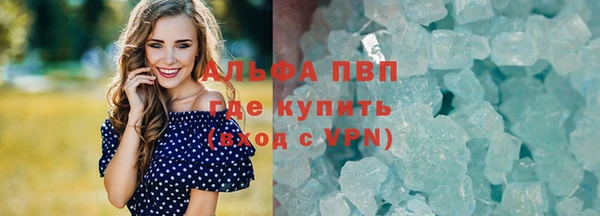 соль ск Новозыбков