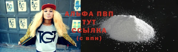 соль ск Новозыбков