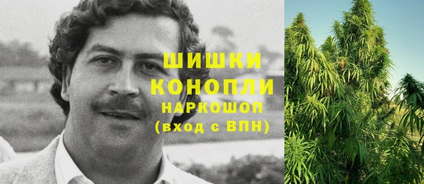 мескалин Новодвинск