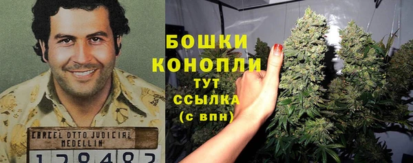 гашик Новокубанск