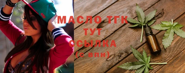 соль ск Новозыбков