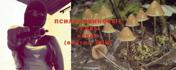мяу мяу кристалл Кодинск