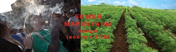 гашик Новокубанск