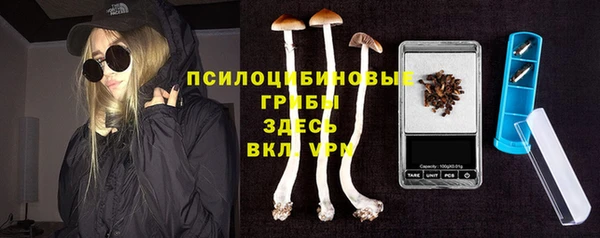 гашик Новокубанск