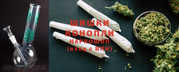 гашик Новокубанск