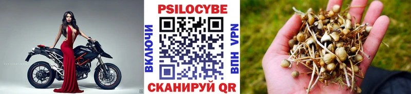 закладки Нижняя Тура Галлюциногенные грибы Magic Shrooms